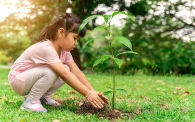 Warga Batang Tau Ikuti Pelatihan Pembuatan Perdes dan SOP untuk Perkuat Tata Kelola Desa